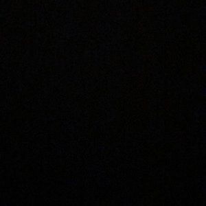 Meet your Posher, Tamia